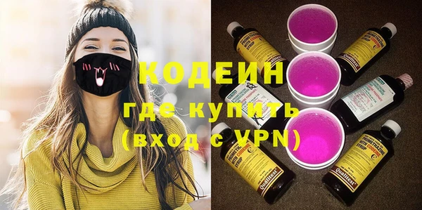 хмурый Алзамай