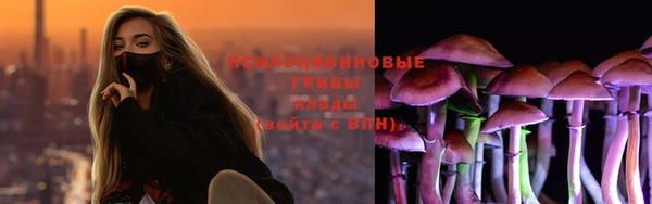 хмурый Алзамай