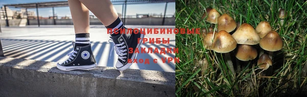 дмт Абинск