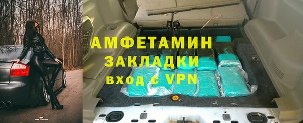 прущие грибы Абаза