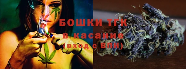 хмурый Алзамай