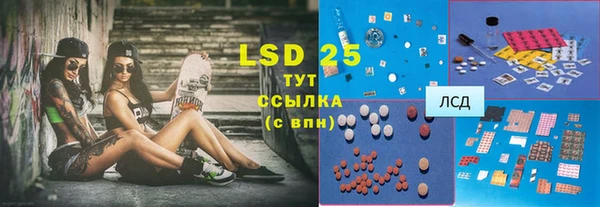прущие грибы Абаза