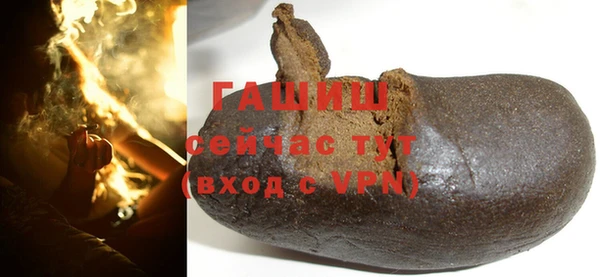 прущие грибы Абаза