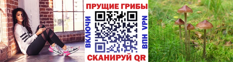 Галлюциногенные грибы прущие грибы Пойковский